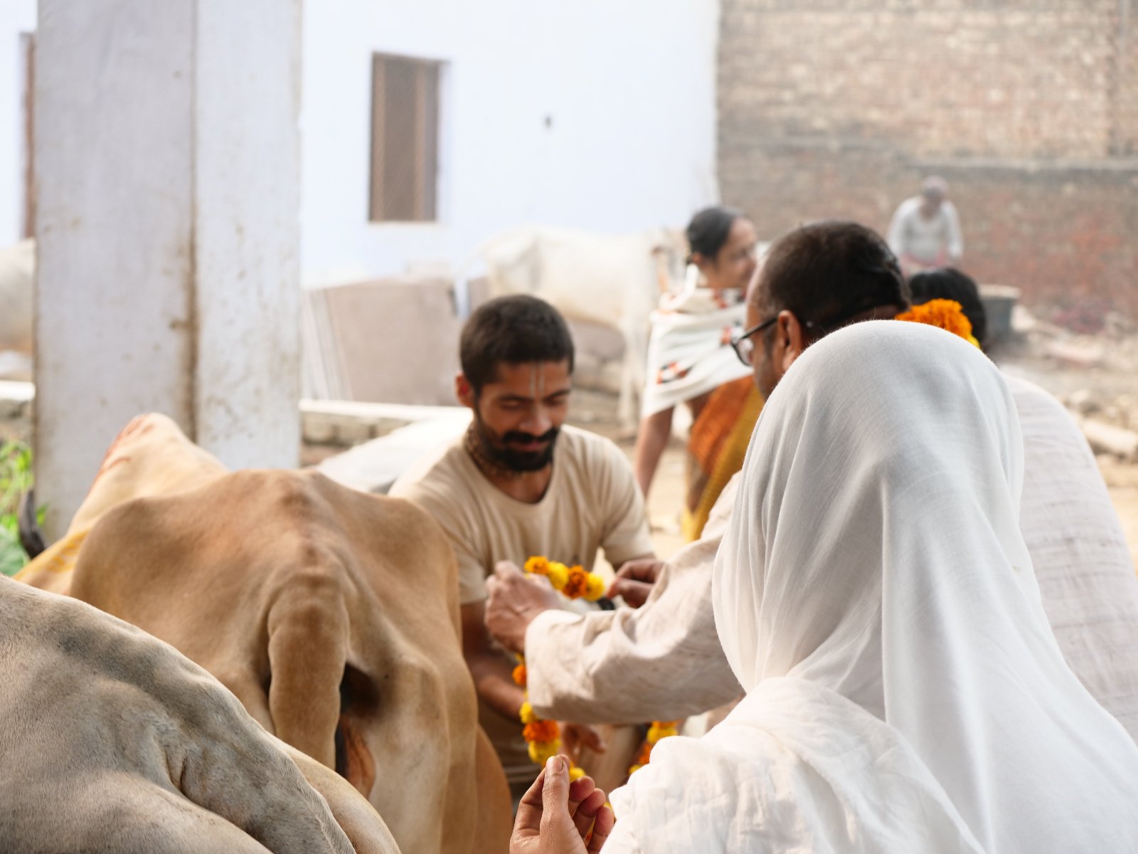  109 Gopashtami Radha kunda Govardhan 19.11.04